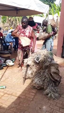 The video shows a man dancing next to a masquerade figure on a paved surface. The man, wearing a printed sleeveless shirt and patterned shorts, is fanning the masquerade with a woven fan. The masquerade, which is laying down and has a mask on its head, is covered in rough fiber. Another man in a green shirt and blue jeans walks past carrying a log of wood while another man wearing a hat of woven material carries an item over his head in the background. A parked motorcycle is also visible. The area is shaded by a white canopy. Additional people can be seen sitting in chairs in the background.