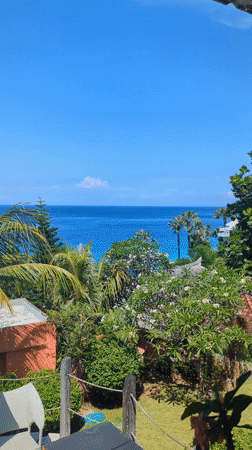 Tropical patio scene recorded in Abang, Indonesia