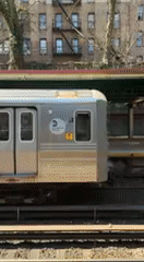 Spring blooms and subway scenes captured across NYC