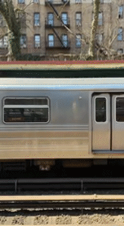 Spring blooms and subway scenes captured across NYC