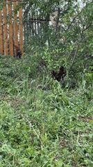 Rural family outing documented in Russian village lakeside setting