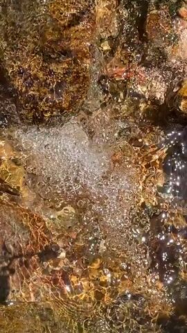 The video shows a close-up, overhead view of clear water flowing over a rocky bottom in Podličak, Montenegro. Sunlight reflects and shimmers on the water's surface, indicating a bright, sunny day. Numerous bubbles are visible, concentrated in a central area, suggesting a strong current or an underwater source. The rocks below the water are shades of brown, gold, and green, visible through the clear water, which has a ripple effect. There are no people or discernible objects other than water and rocks. No text is visible.
