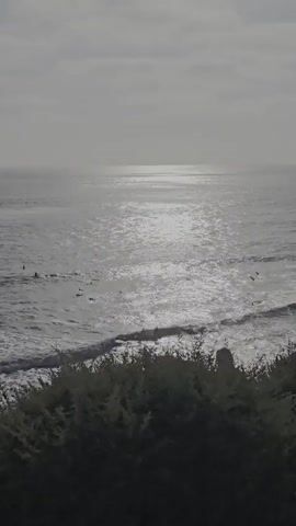A panoramic view of the ocean under a cloudy sky. The sun reflects on the water, creating a shimmering effect. Several surfers are scattered across the water, some paddling and others waiting for waves. The foreground is dominated by lush green foliage.