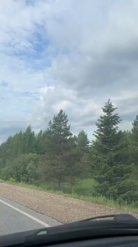 The video captures a daytime view from inside a moving vehicle, likely a car, driving along a rural road near Шумиха, Russia. The dashboard is visible at the bottom of the frame, indicating movement. The scene primarily features a dense forest lining the side of the road, composed of various tree types including tall pine trees and slender birches. Beyond the immediate tree line, there are glimpses of open grassy areas. The sky is partly cloudy, with patches of blue visible amidst large, grey clouds. The overall impression is one of a peaceful journey through a natural, wooded landscape.