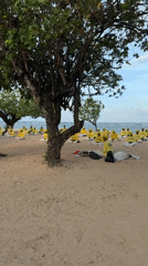 Group meditation session held on Denpasar beach