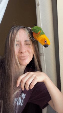 Woman with pet bird spotted by window in Khimki