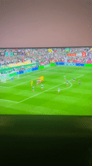 Mexico defeats South Africa 2-0 in soccer match viewed in Bulgaria