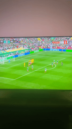 Mexico defeats South Africa 2-0 in soccer match viewed in Bulgaria