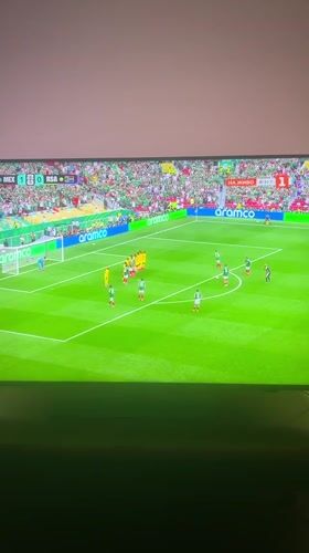 Mexico defeats South Africa 2-0 in soccer match viewed in Bulgaria