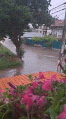Vehicle navigates flooded residential street during heavy rainfall