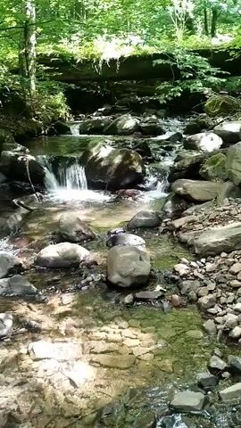 A narrow, rocky stream flows through a sun-dappled forest. The water is clear and shallow, with small cascades forming over smooth stones. The banks of the stream are lined with rocks and pebbles, and the surrounding area is covered in lush green foliage and trees. The overall impression is one of natural tranquility and peacefulness.