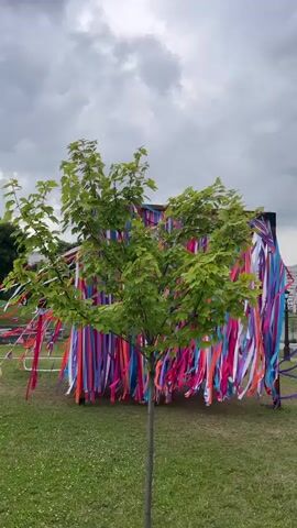 The video pans across a bright outdoor scene with a small tree in the foreground. The tree has lush green leaves and its trunk is visible. Behind the tree, a structure or wall is decorated with numerous colorful ribbons. These ribbons hang vertically, creating a vibrant tapestry of pink, purple, orange, blue, and white. The background consists of a grassy area and a cloudy sky. The camera moves closer to the ribbon-covered wall, offering a more detailed view of the individual streamers. The focus is on the textures and colors of the ribbons, with some slightly blurred in the foreground due to the camera's movement and depth of field.
