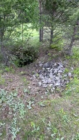The video shows a ground-level view of a hole in the ground surrounded by trees and rocks. The hole appears to be an entrance to an underground space. The surrounding environment is wooded, with dirt and debris on the ground. The camera moves slowly towards the hole, providing a closer look at its entrance. No people or animals are visible in the video.