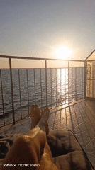 Balcony views over calm Pacific waters near Bolshoy Kamen