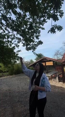 A woman stands under a tree, picking something from its branches, and putting it in her mouth. She has long dark hair, is wearing a white jacket over a black shirt, black pants, and is holding a water bottle. She is standing on a gravel surface. In the background is a wooden structure with picnic tables underneath. The scene then shifts to show two light-colored dogs standing on a path surrounded by trees. The sun is shining through the leaves.