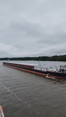 A long, flat-topped barge travels down a wide, calm river under a cloudy sky. The barge has a dark hull with a red stripe and is loaded with what appears to be stacked cargo, possibly covered by white tarps. The barge is moving away from the camera, with the stern of the barge visible as it moves through the water, leaving a wake. Trees and vegetation line the distant shore. The water is a muted brown color, and the sky is overcast.