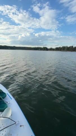 The video shows a calm body of water under a partially cloudy sky from the perspective of being on a paddleboard. The surface of the water has small ripples and the far shore is lined with trees. On the front of the paddleboard, secured with black bungee cords, there is a dark-colored bag and two pairs of Crocs, one white and one green. The paddleboard is moving forward through the water.