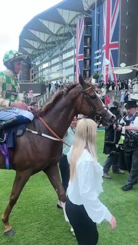 A jockey wearing a green and white checkered helmet and silks, with white pants adorned with the number 4 and the text "ROYAL ASCOT", is seated on a brown racehorse. The jockey tips his helmet. The horse has a blue and purple saddle cloth and is being led by two individuals, one on the horse's left and another on its right. The scene takes place on a grassy field, with a large grandstand in the background featuring a prominent Union Jack flag. Spectators are visible in the grandstand and on the ground.