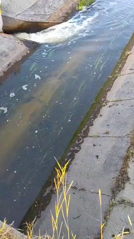 A water canal with concrete sides, lined with grass and small plants. The water flows, with some foam and small debris visible on its surface. Sunlight casts shadows on the right side of the canal. The camera is angled downwards, looking along the length of the canal.