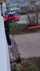Resident documents daily life with pet, spring flowers in Noviy