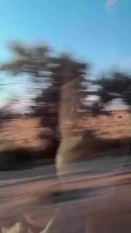 The video shows a blurry landscape from a moving vehicle. The sky is clear and blue. In the distance, there are mountains and some vegetation. The ground appears to be dry and brown, with some patches of green. The motion blur suggests that the vehicle is traveling at a relatively high speed. There are no people or specific objects clearly visible in the video. The overall impression is one of a rural or natural environment, possibly a desert or plains region. The video appears to be taken during the daytime, with the sun possibly setting or rising, as indicated by the soft light.