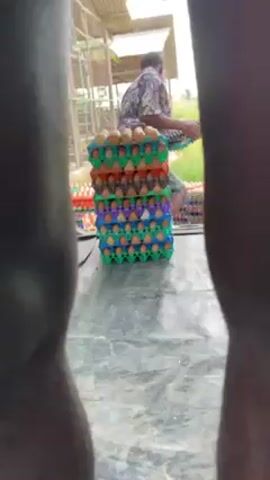 A stack of colorful egg cartons sits between two dark legs in a blurred foreground. A person wearing a patterned shirt and shorts kneels next to the stack, possibly adjusting or moving cartons. Other egg cartons are visible in the background under a corrugated metal roof structure. The setting appears to be an outdoor area, potentially a farm or market, with some greenery visible in the distance.