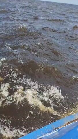 A view from a boat traveling through choppy, dark water. The waves are white-capped and the water appears murky. The edge of the boat, painted blue, is visible in the foreground. The sky is bright and overcast.