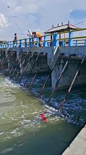 Fishing and wildlife along Lhokseumawe's waterfront on a sunny morning