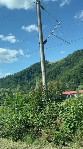 The video shows a view from a moving vehicle, likely a train, looking out at a lush green mountainside under a bright blue sky with scattered white clouds. Tall trees and dense foliage dominate the foreground and midground. In the distance, the mountain is covered in trees. Overhead, power lines stretch across the frame, supported by poles. The scene appears to be a rural or natural landscape.
