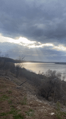 Pets and landscapes captured in quiet Ольховка afternoon