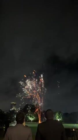 This video shows a nighttime outdoor scene with fireworks being set off. Two individuals are visible from behind, facing away from the camera and towards the fireworks. The fireworks are colorful, with bursts of white, orange, and red sparks illuminating the dark sky. In the background, there are trees and some distant city lights, including a tall building with illuminated windows. The overall atmosphere appears celebratory.