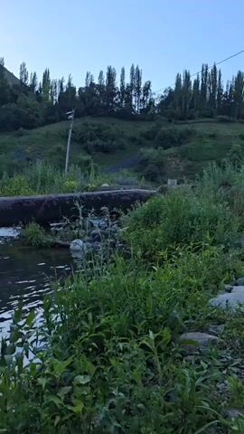 A video shows a large pipe submerged in a body of water. Water is visibly flowing from the pipe into the water. The pipe is covered in what appears to be rust or dirt. The surrounding area is lush and green with vegetation. In the background, a grassy hill rises up, dotted with trees and a utility pole. The sky is clear and light blue. The video captures the water flowing from the pipe and creating ripples in the larger body of water.
