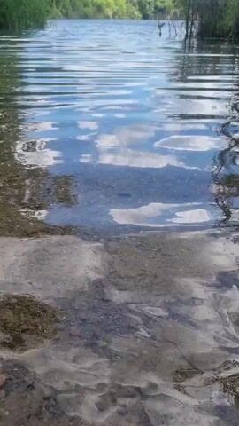 The video shows a body of water with a rocky bottom visible through the clear water. The surface of the water is rippled, reflecting the sky and clouds. There are some green reeds on the left side of the frame and some dry branches on the right side. The overall impression is of a calm and natural environment.