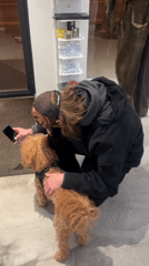 Person reads fashion magazines with dog at Paris cafe
