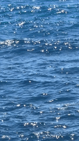 Boats Navigate Coastal Waters Near Għajnsielem, Malta