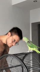 Man with parrot observed in Pazardzhik, Bulgaria