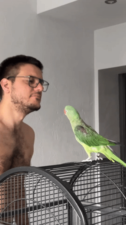 Man with parrot observed in Pazardzhik, Bulgaria