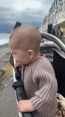Family gathering with baby, dog documented in Sochi seaside visit