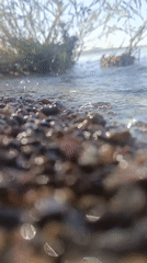 Lakeside details along a pebbled Temirtau shore