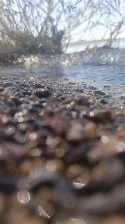 Wet pebbles and murky shallows along a Temirtau shoreline