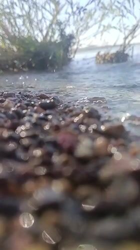 Lakeside details along a pebbled Temirtau shore