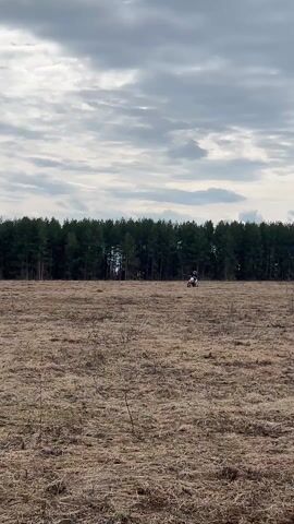 The video shows a dirt biker riding across a field on a cloudy day. The field is mostly brown and dry, with some small patches of green. A line of trees is visible in the background. The dirt biker is wearing a helmet and protective gear and is the only person visible in the video. The biker approaches the camera, making a few sharp turns on the way, and moves past to the right of the frame.