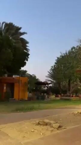 Here is a brief description of the scene:

The video depicts a scene in what appears to be a park or outdoor recreational area during the late afternoon or early evening. The sky is a clear blue with a hint of pink from the setting sun.  There are trees on both sides of the frame, including palm trees, and a paved pathway or walkway. On the left, there is a small, orange-colored building with a doorway. In the center of the scene, there is a wooden pergola or gazebo-like structure with seating beneath it.  The ground is a mix of grass, dirt, and some paved areas.

There are no people visibly interacting in the scene at the time of the recording.