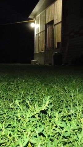 The video begins with a low-angle shot of green grass at night, illuminated by an overhead porch light. The camera pans slightly to the right, revealing a structure with a porch and a door. A single light fixture hangs from the eave of the porch, casting a warm glow. The background is dark and out of focus. As the video progresses, the camera continues to pan, offering brief glimpses of the porch area and the surrounding darkness. No people or distinct objects are clearly visible beyond the architectural elements and the grass. The overall impression is of a quiet, possibly deserted, outdoor space at night.