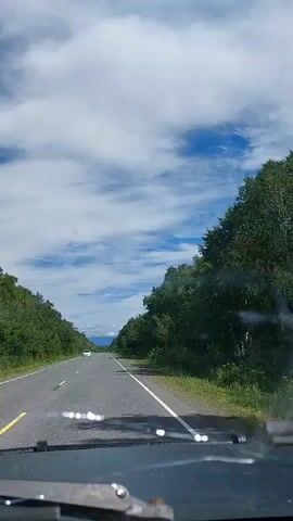 A video shows a first-person view of driving on a paved road. The road is surrounded by lush green trees on both sides. The sky is a vibrant blue with fluffy white clouds. In the distance, a white car is visible driving in the same direction. The perspective from inside the vehicle suggests the presence of a dashboard and windshield wipers.