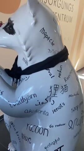 A statue of a white raccoon with a black scarf and red glasses is displayed indoors. The statue is covered in words written in various languages, including "raccoon" in English and other foreign scripts. The raccoon's paws are clasped together. The background features a wall with some text and a yellow banner with graphics. The floor appears to be tiled.