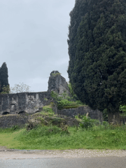 Ancient basilica ruins documented in Tsandrypsh, Abkhazia