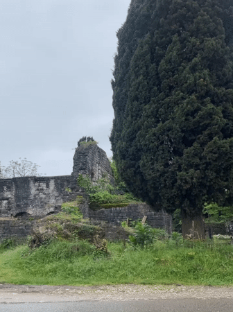 Ancient basilica ruins documented in Tsandrypsh, Abkhazia