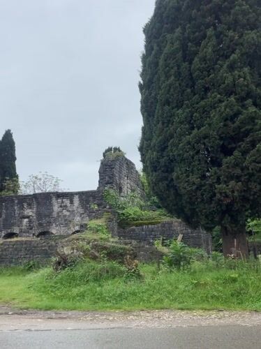 Ancient basilica ruins documented in Tsandrypsh, Abkhazia