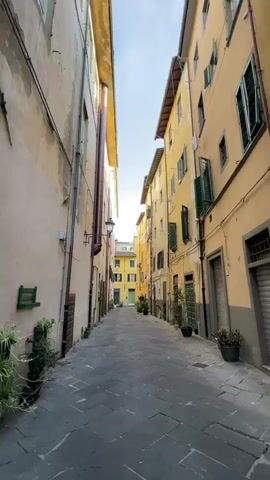 The video shows a narrow, cobblestone alleyway between tall, old buildings. The buildings are painted in muted, earthy tones, with yellow predominating. They have multiple stories, with windows that feature dark green shutters. Some windows are open, revealing glimpses of the interiors. There are a few potted plants placed along the sides of the alley. The sky is visible at the end of the alley, and it appears to be a clear day. The perspective is from ground level, looking down the alley, which recedes into the distance. The lighting suggests it is daytime, with sunlight illuminating the scene. There are no people visible in the video.